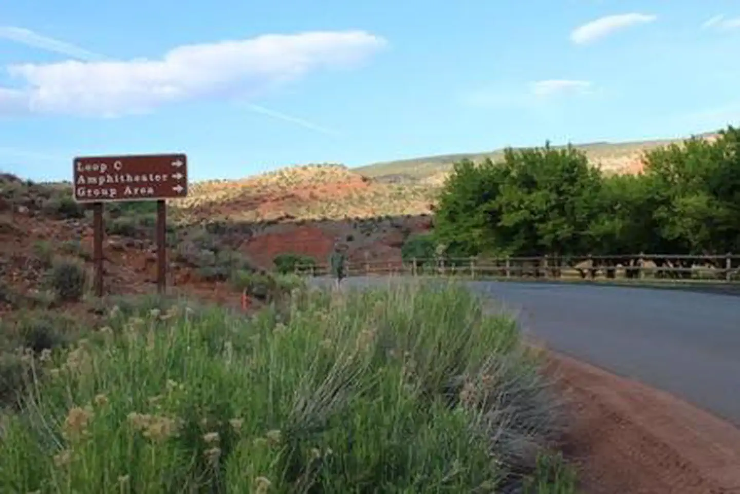 Capitol Reef Group Campground photo 2