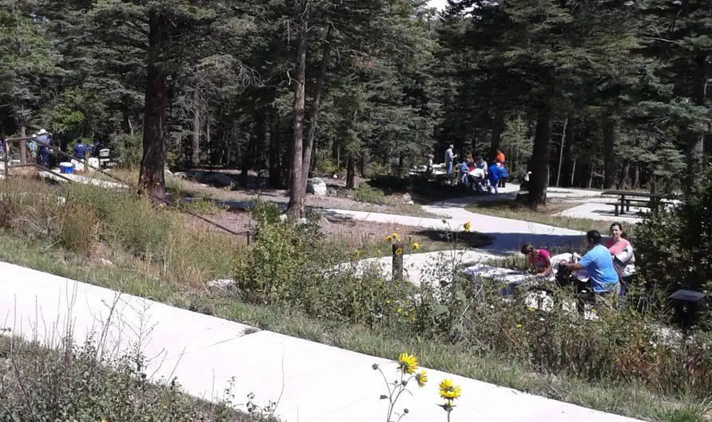 CAPULIN SPRING PICNIC SITE photo 3
