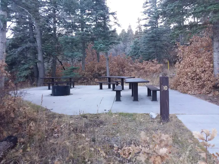 CAPULIN SPRING PICNIC SITE photo 5