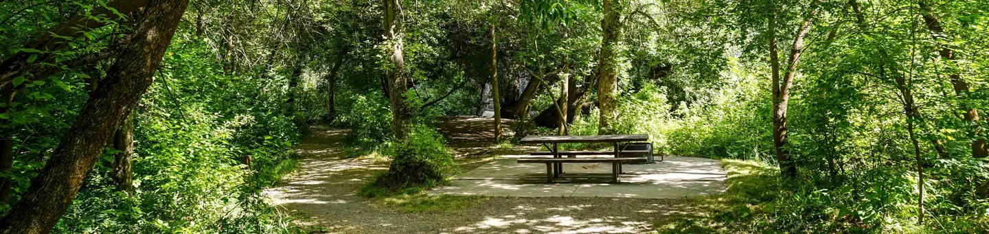 Card Picnic Area photo