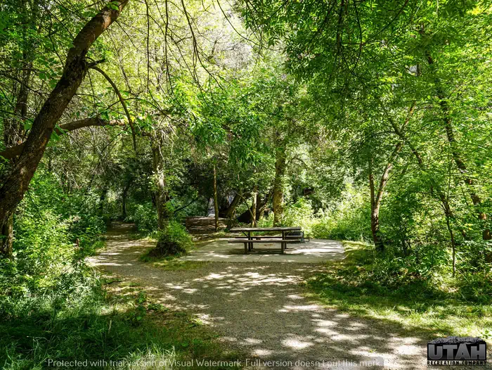 Card Picnic Area photo 3