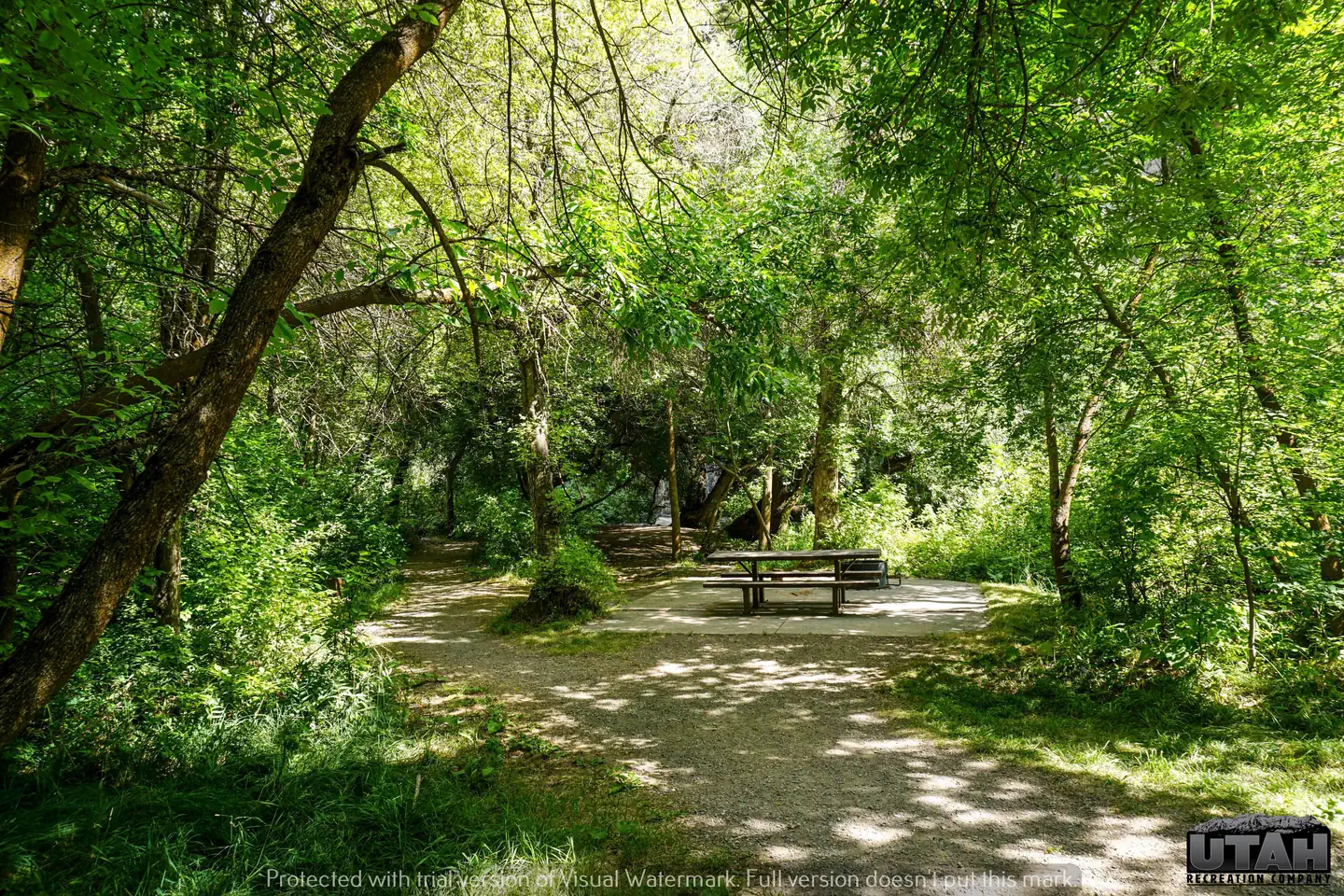 Card Picnic Area photo 4