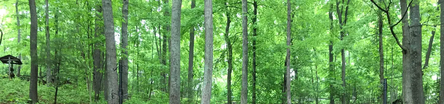 CARDENS BLUFF CAMPGROUND photo