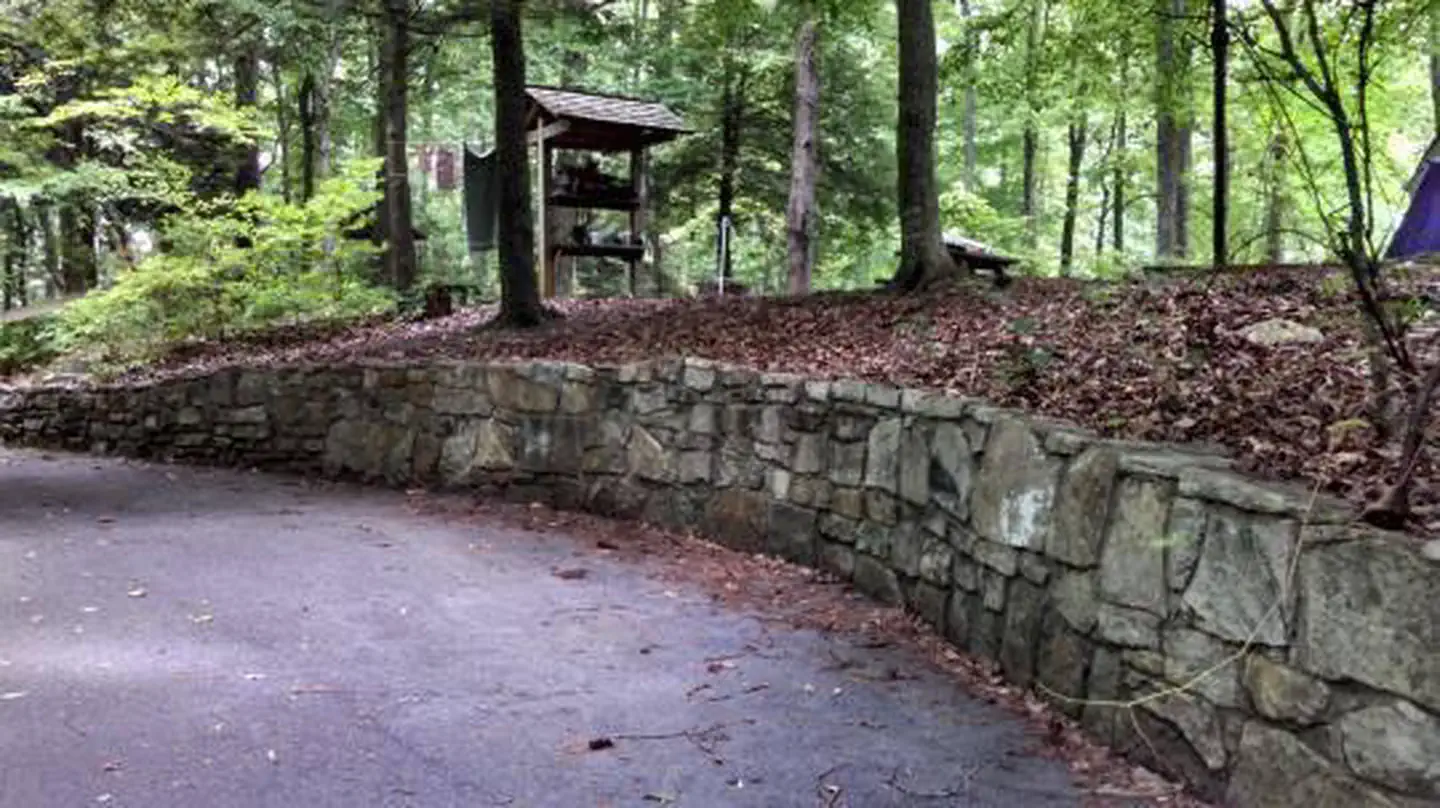CARDENS BLUFF CAMPGROUND photo 3