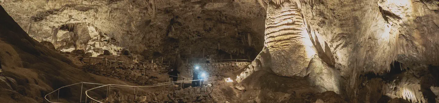 Carlsbad Caverns National Park Tours photo