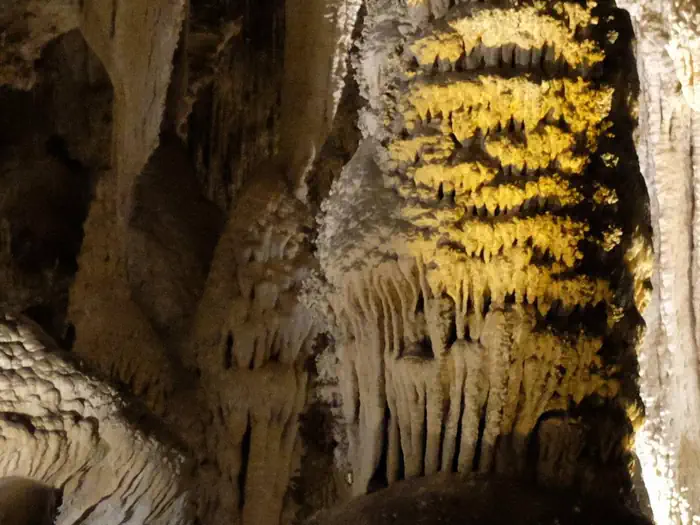 Carlsbad Caverns National Park Tours photo 3