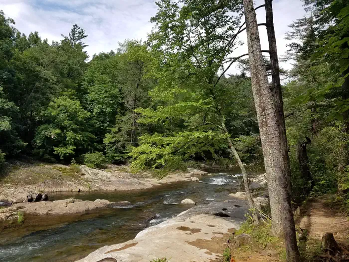 CAROLINA HEMLOCKS REC AREA photo 2