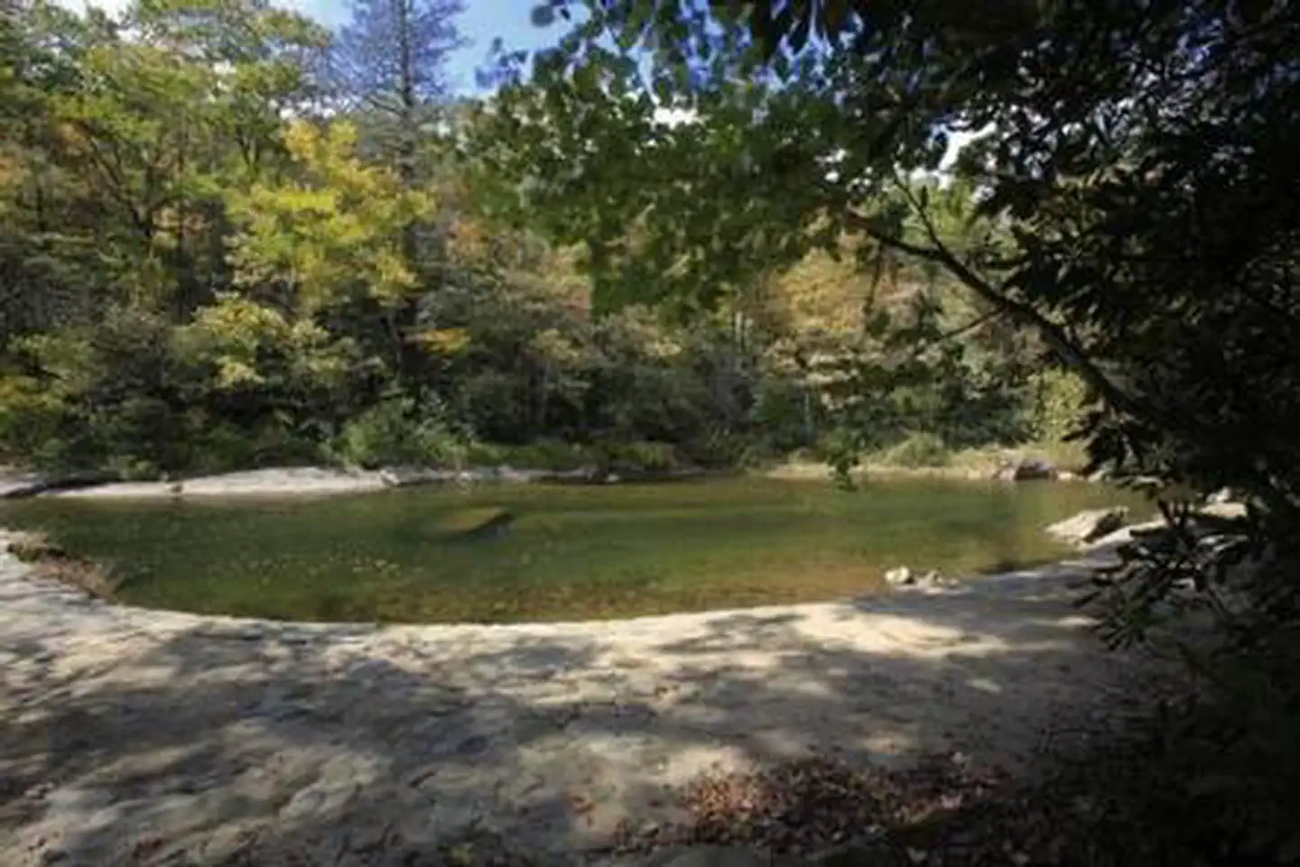 CAROLINA HEMLOCKS REC AREA photo 3
