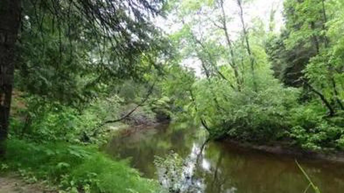 CARP RIVER CAMPGROUND photo