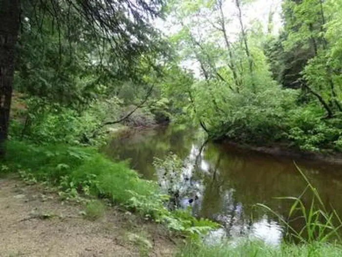 CARP RIVER CAMPGROUND photo 5