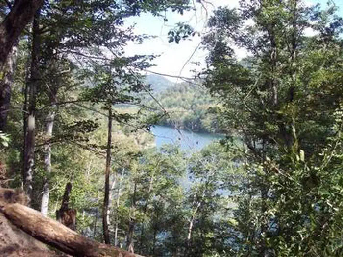 CARR CREEK LAKE SHELTERS photo 4