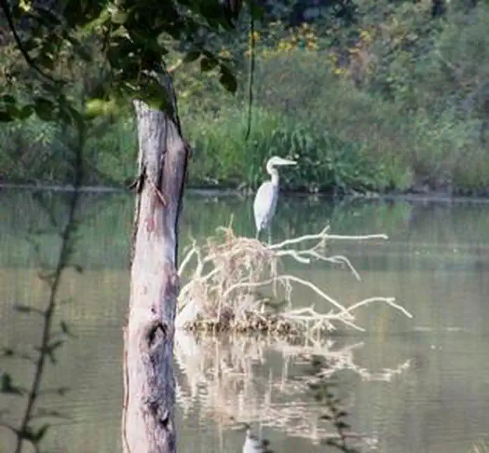 CARR CREEK LAKE SHELTERS photo 5