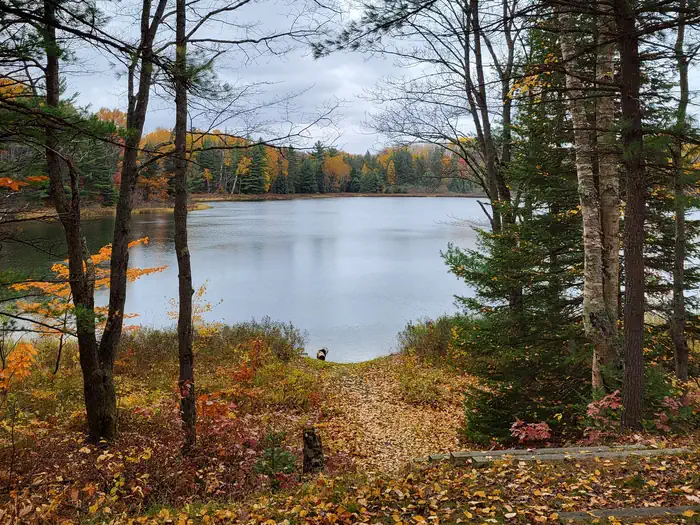 Carr Lake Campsite photo 4