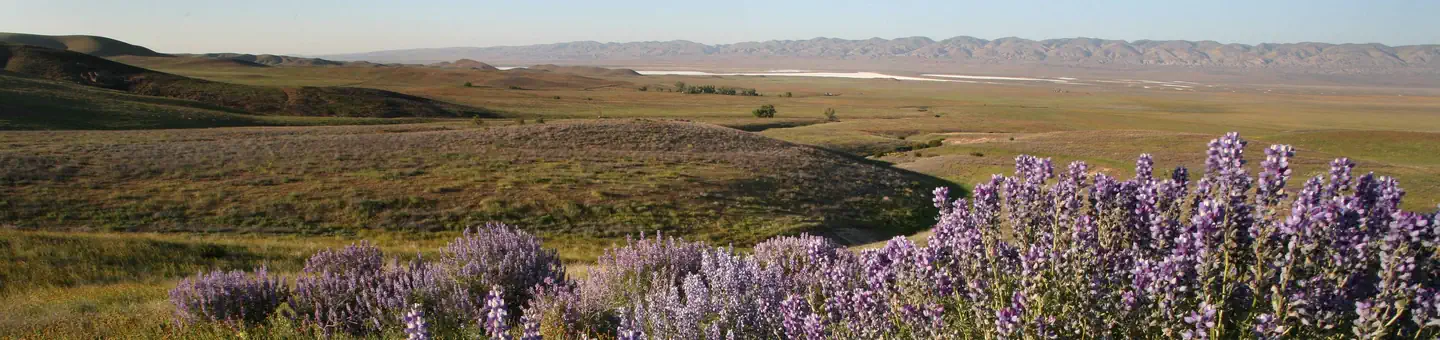 Carrizo Plain National Monument Tours photo