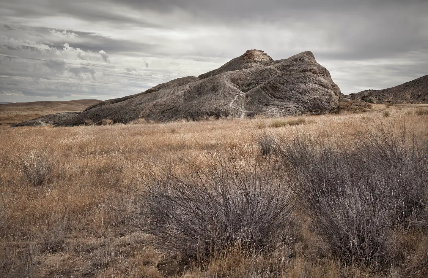 Carrizo Plain National Monument Tours photo 5