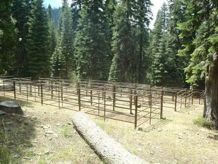 CARTER MEADOWS HORSE GROUP photo