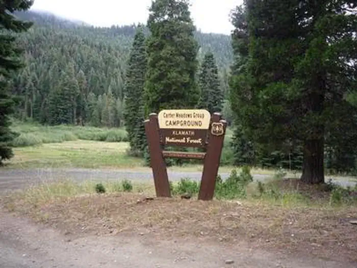 CARTER MEADOWS HORSE GROUP photo 3
