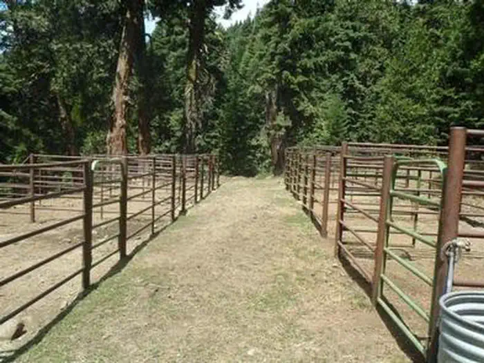 CARTER MEADOWS HORSE GROUP photo 5