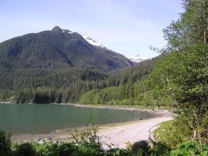 CASCADE CREEK CABIN photo 4
