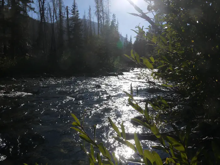 CASCADE photo 4