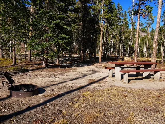 CASCADE photo 5