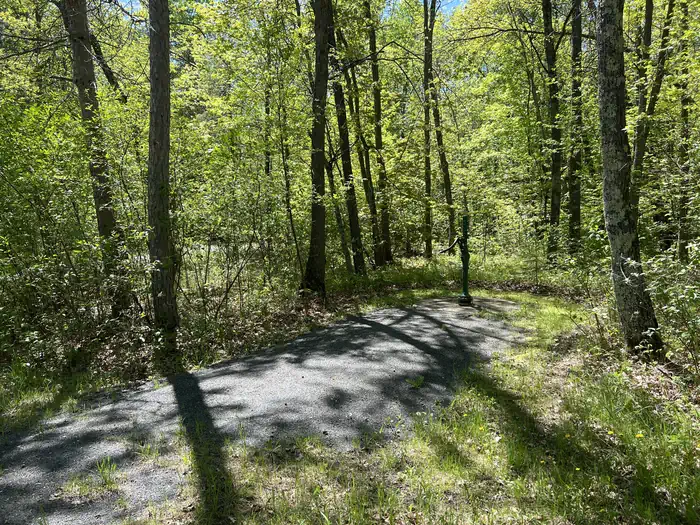 CASS LAKE LOOP photo 3