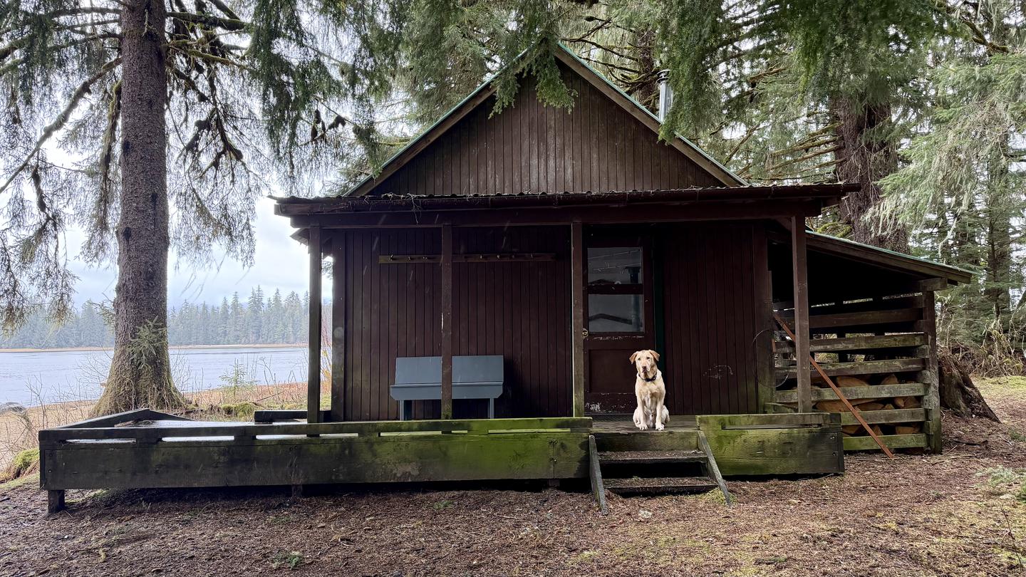 CASTLE FLATS CABIN photo