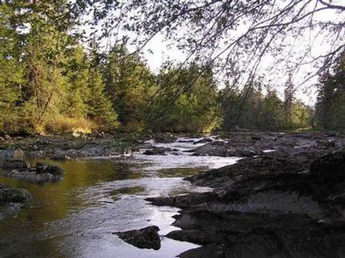 CASTLE RIVER CABIN photo 3