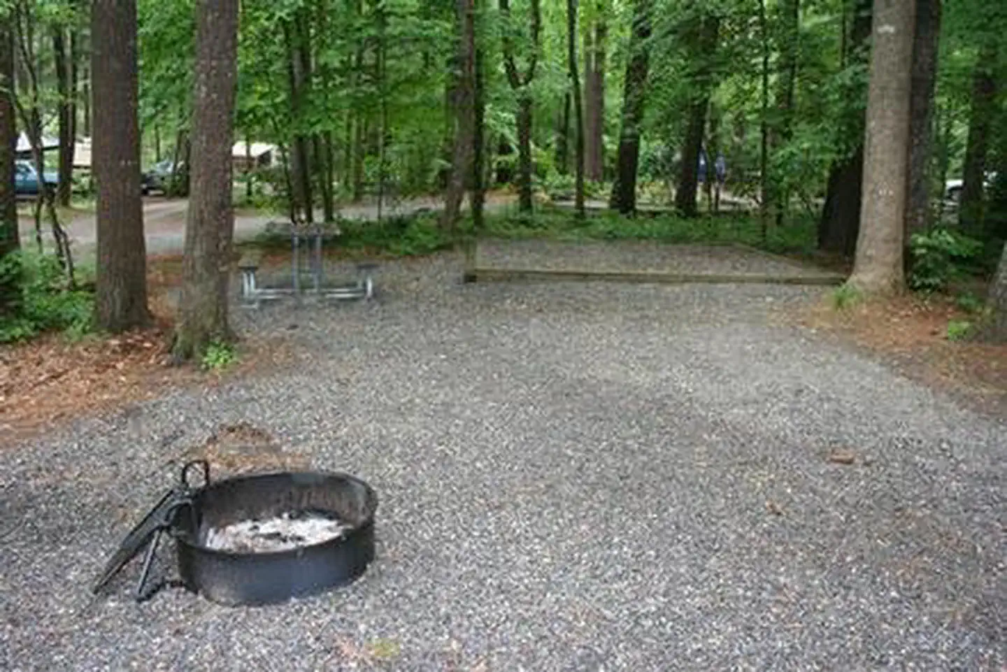 CATALOOCHEE CAMPGROUND photo 4