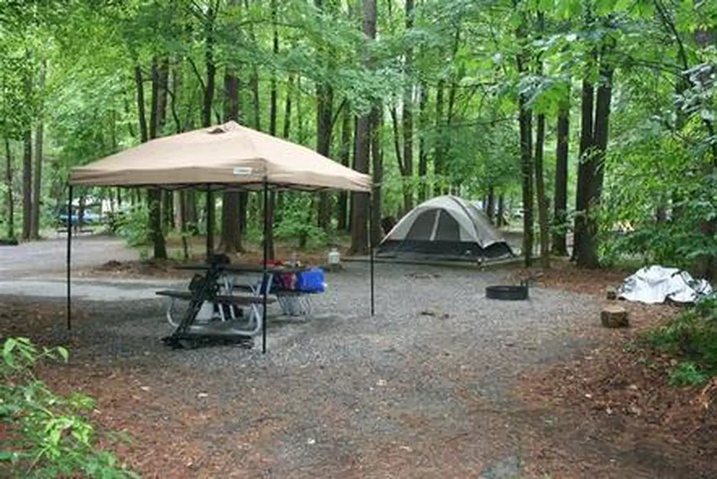 CATALOOCHEE CAMPGROUND photo 5