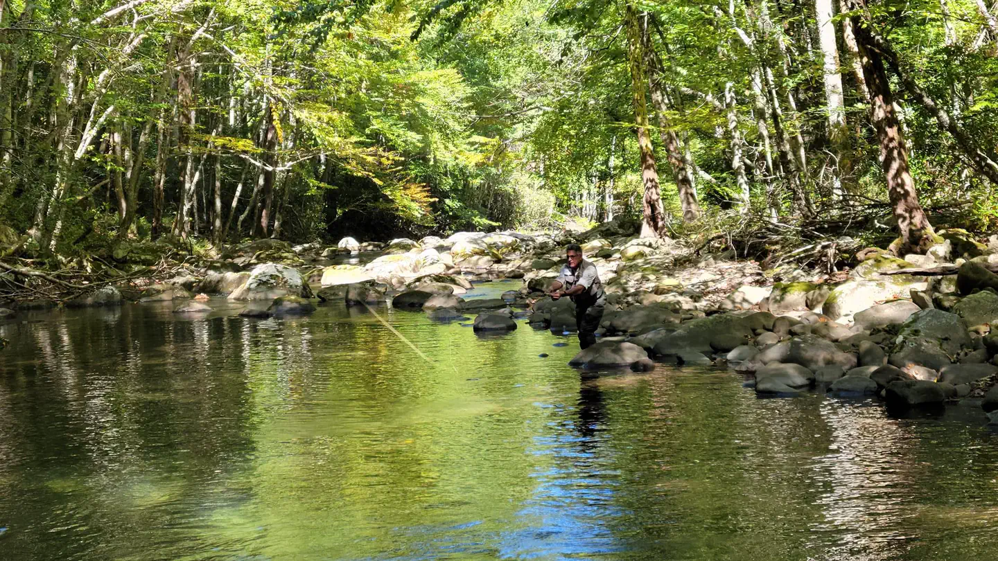 CATALOOCHEE GROUP CAMP photo