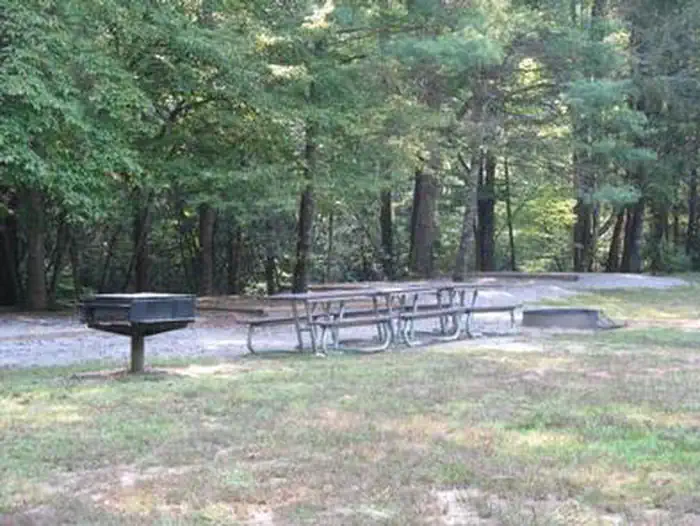CATALOOCHEE GROUP CAMP photo 2