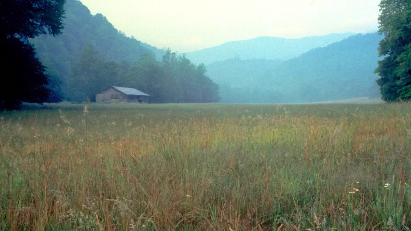 CATALOOCHEE HORSE CAMP photo