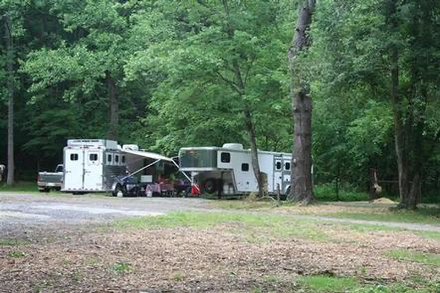CATALOOCHEE HORSE CAMP photo 2