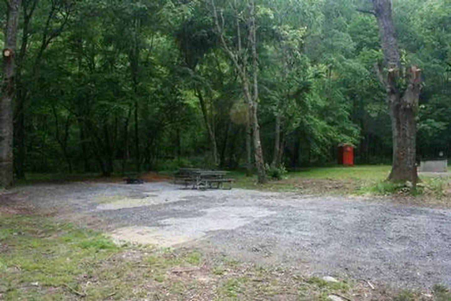 CATALOOCHEE HORSE CAMP photo 4