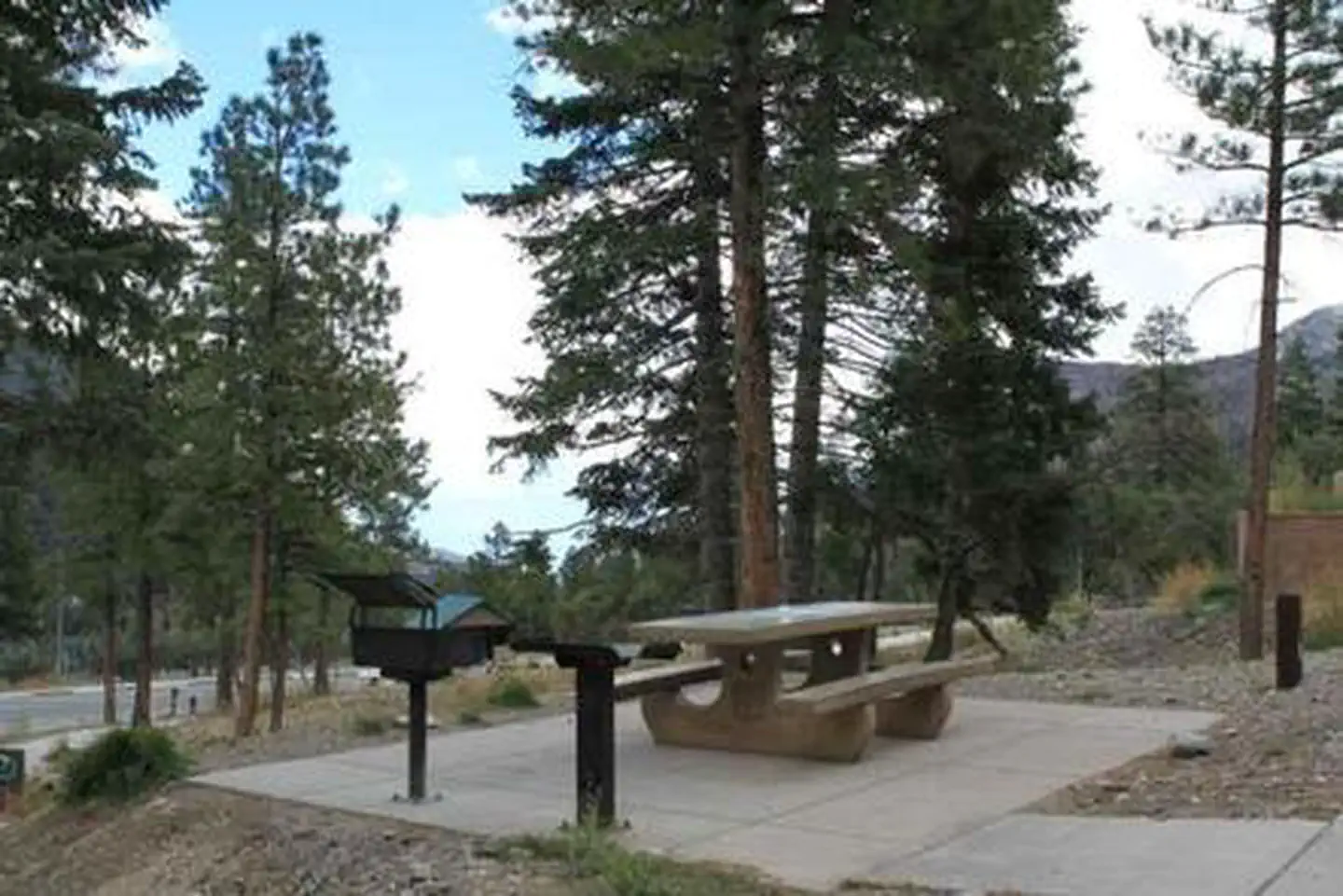 CATHEDRAL ROCK PICNIC AREA photo