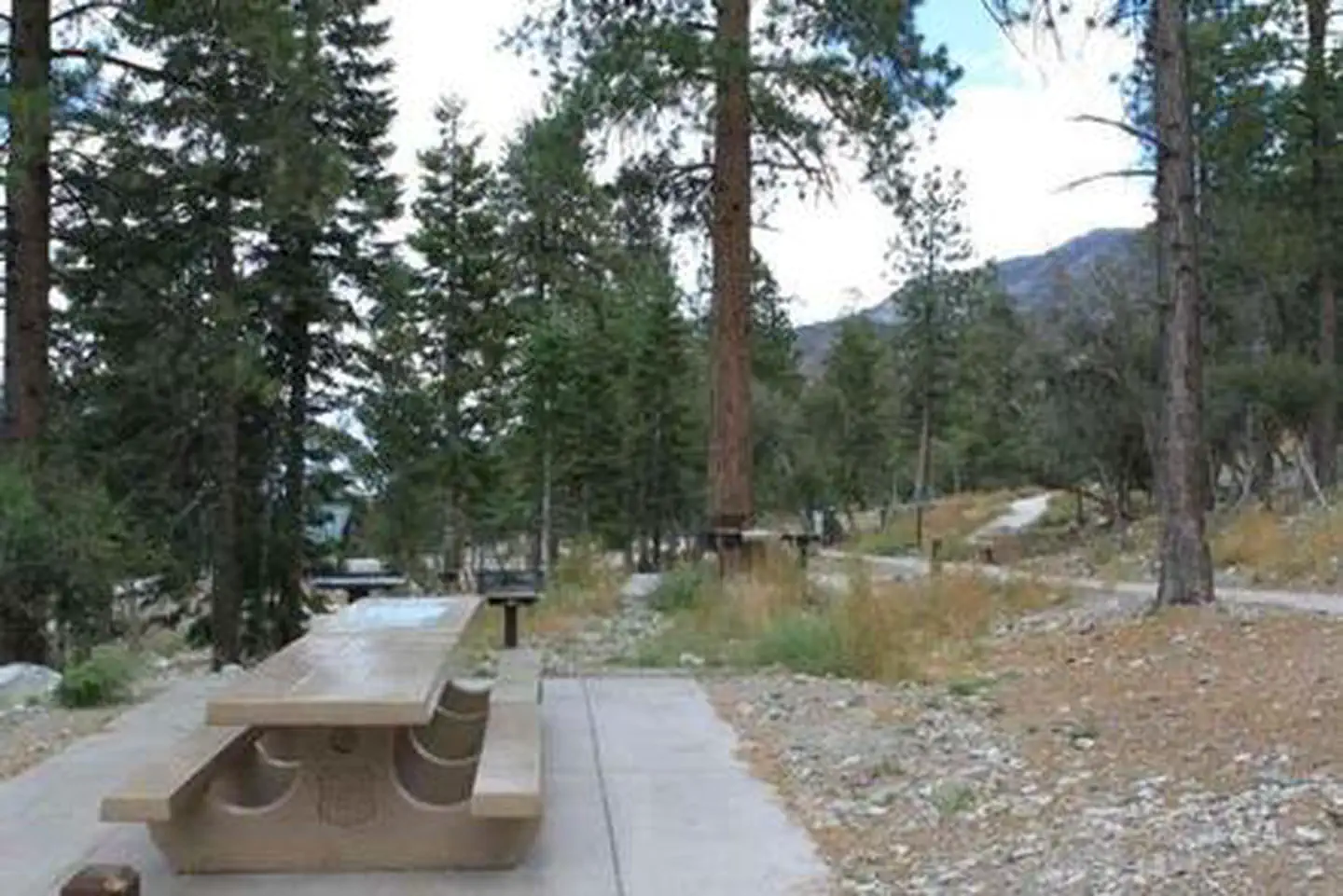 CATHEDRAL ROCK PICNIC AREA photo 5