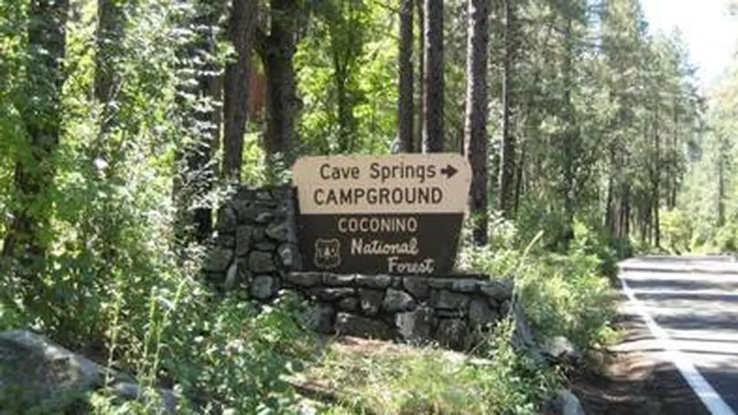 CAVE SPRING photo