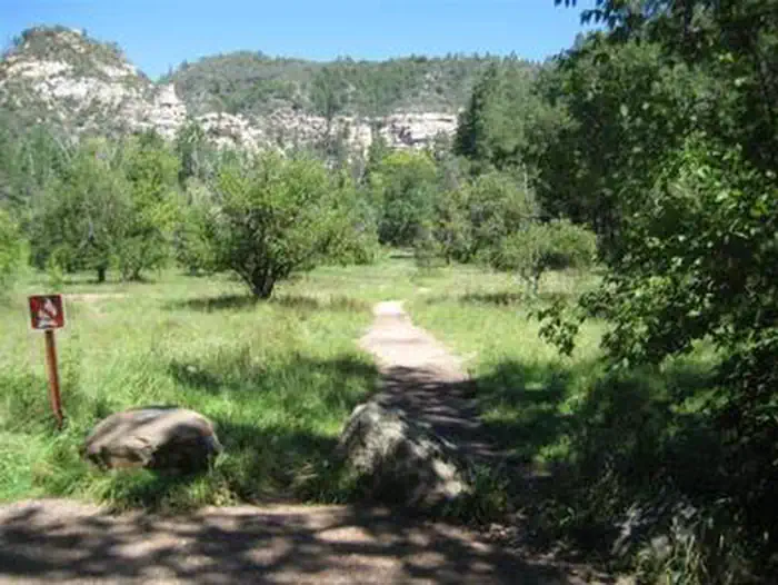 CAVE SPRING photo 2