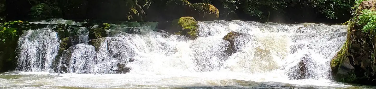 Cavitt Creek Falls Recreation Site photo