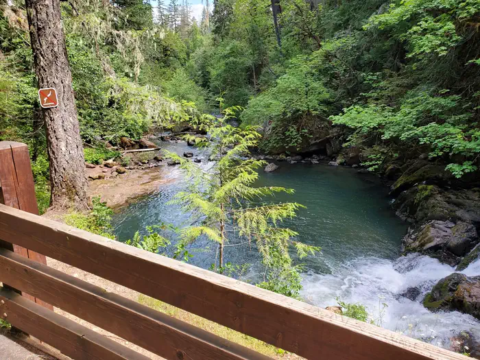 Cavitt Creek Falls Recreation Site photo 2