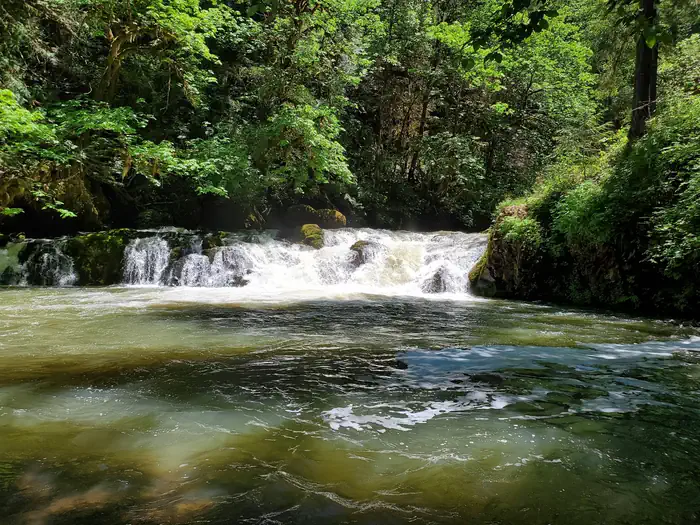 Cavitt Creek Falls Recreation Site photo 4