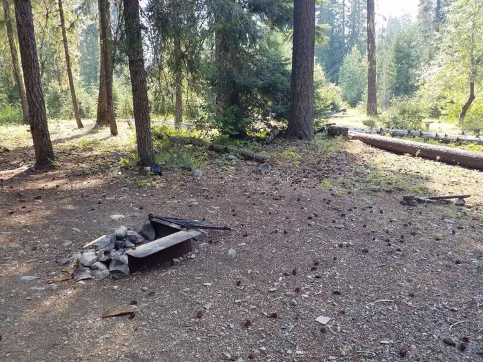 CAYUSE HORSE CAMP photo