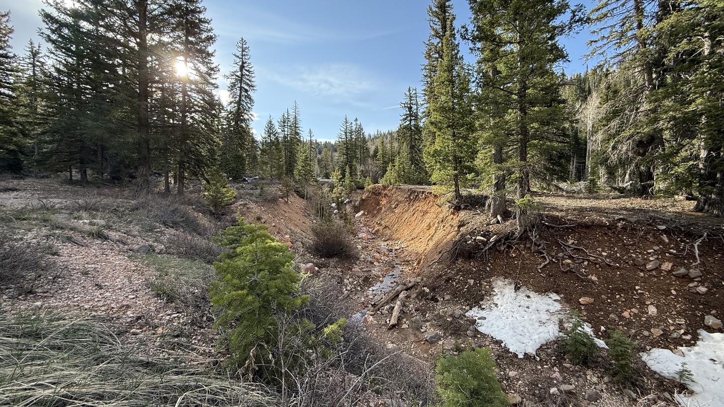 CEDAR CANYON photo