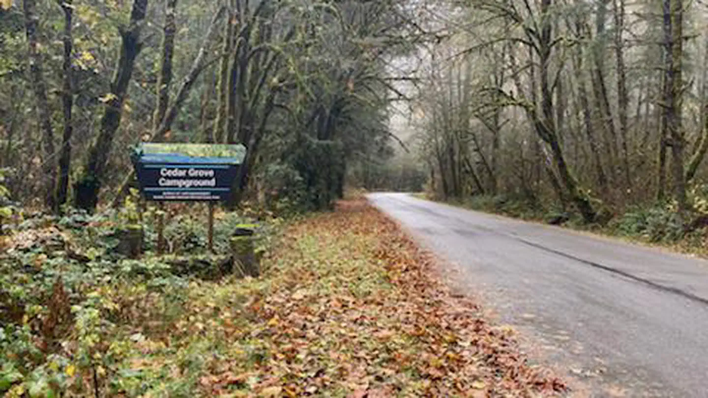 Cedar Grove Campground photo