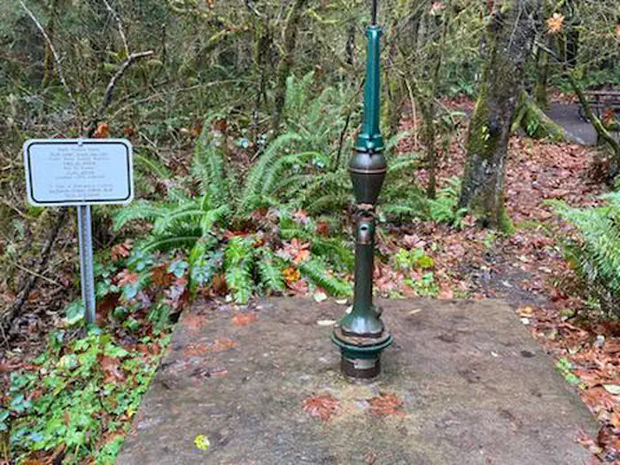Cedar Grove Campground photo 4