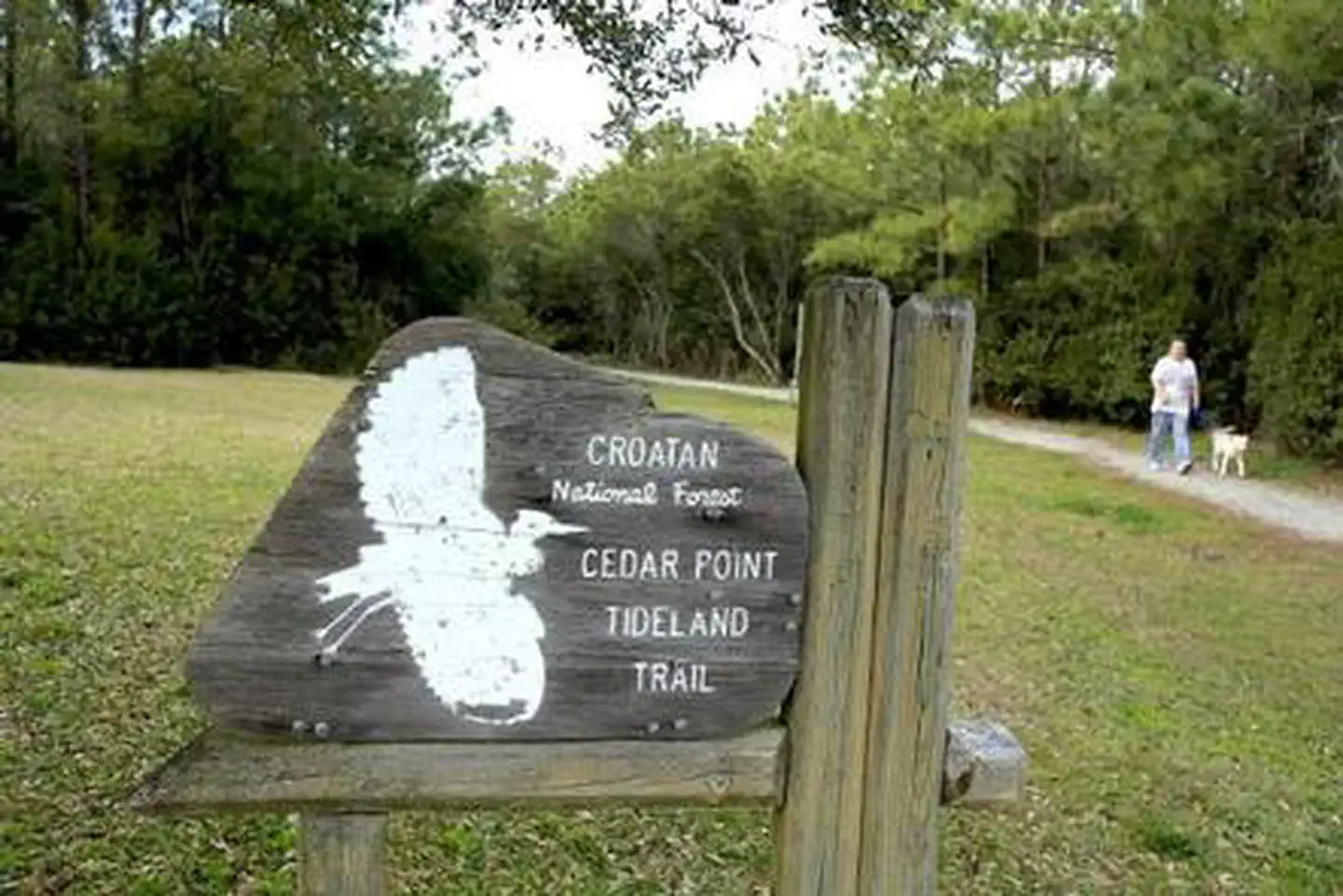CEDAR POINT CAMPGROUND photo 4
