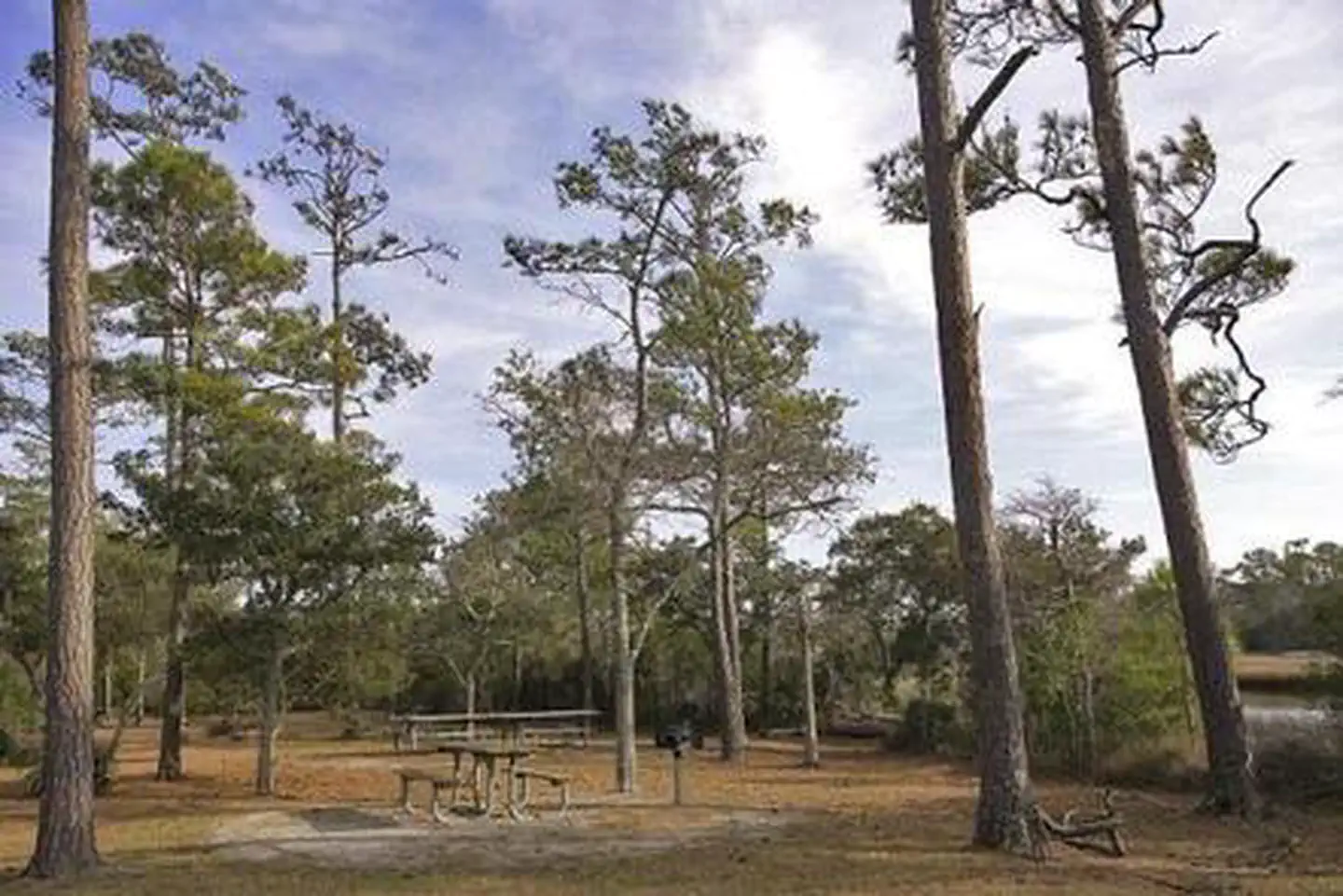 CEDAR POINT CAMPGROUND photo 5