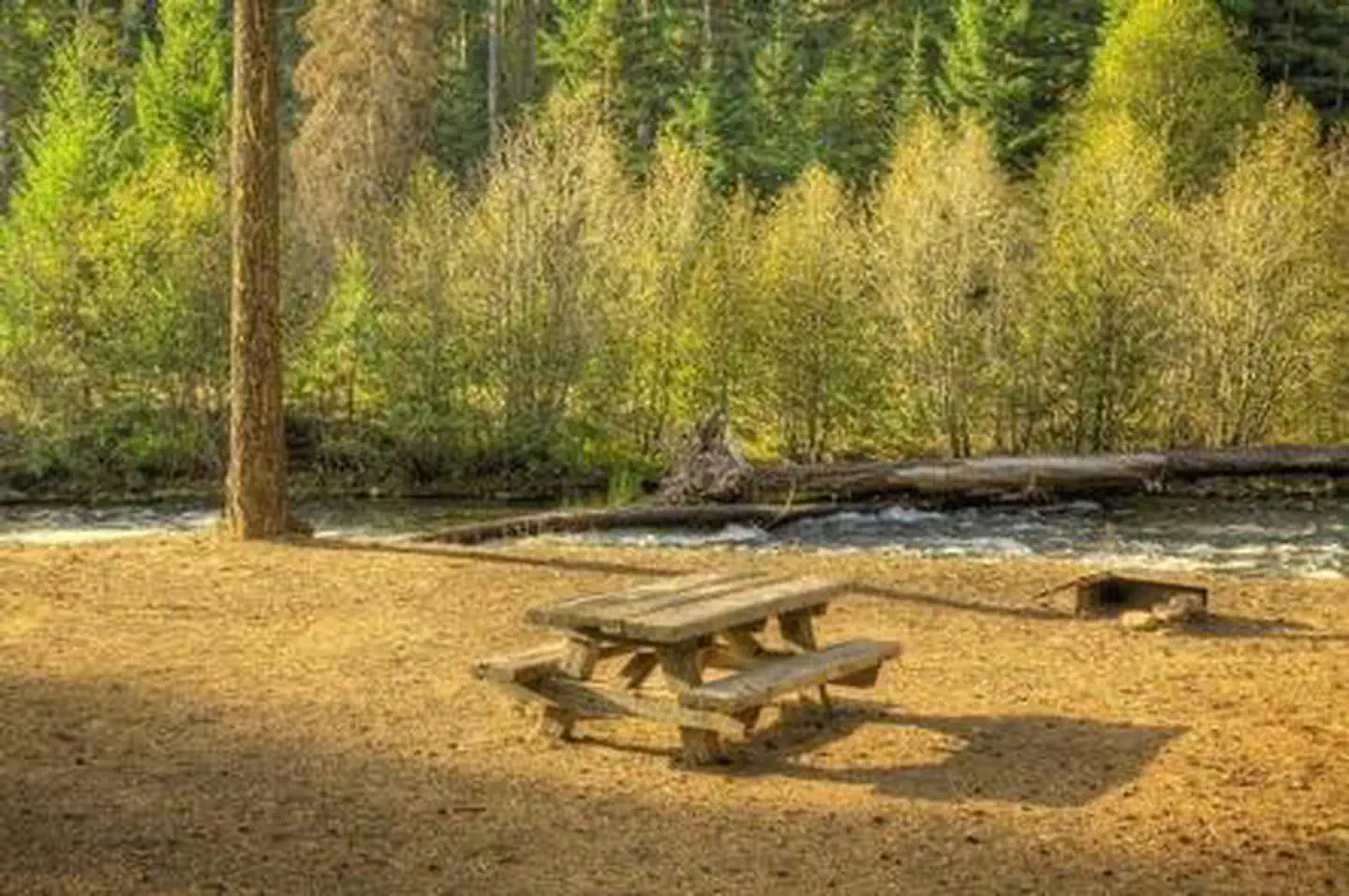CEDAR SPRINGS CAMPGROUND (WA) photo 2
