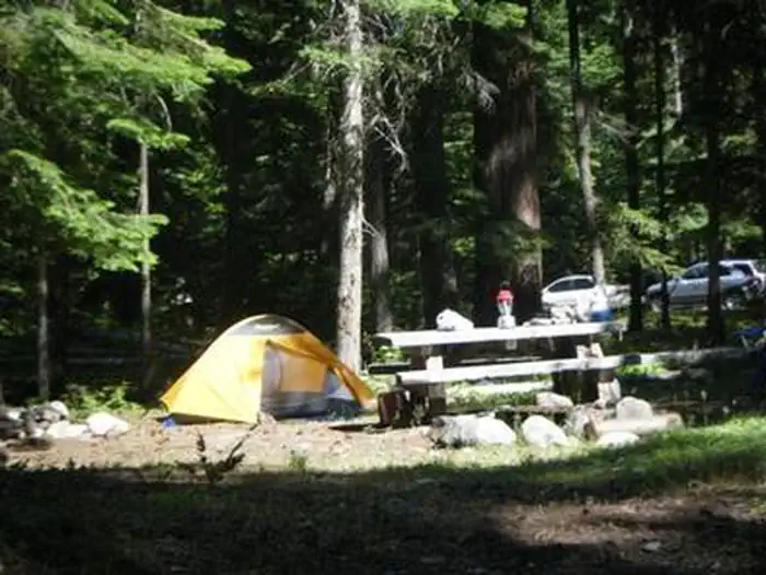 CEDAR SPRINGS CAMPGROUND (WA) photo 3